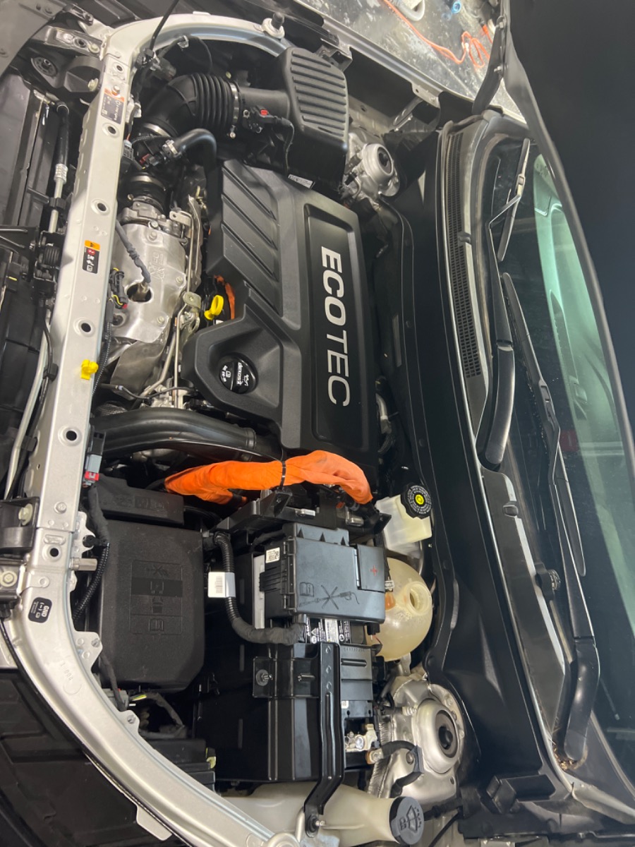 Engine Bay