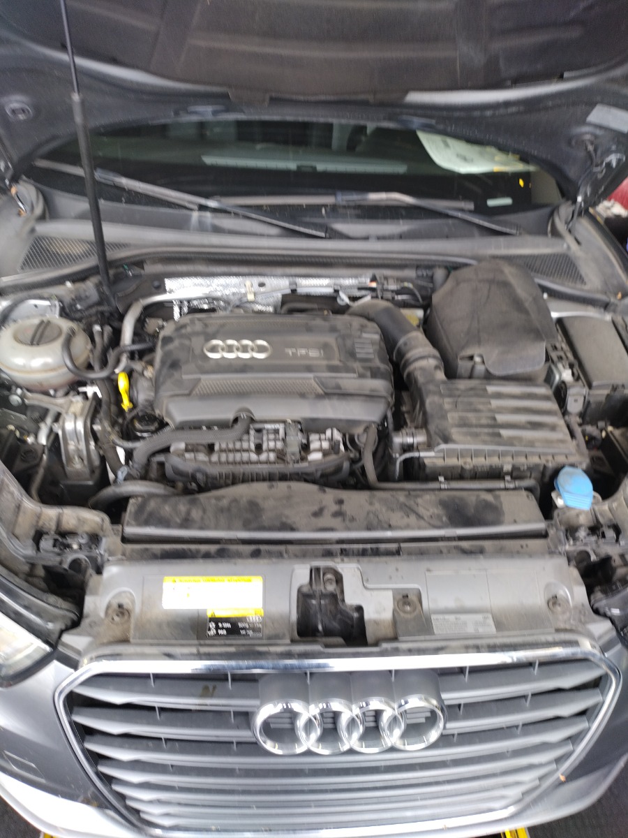 Engine Bay