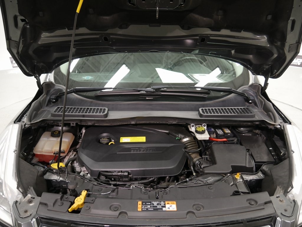 Engine Bay