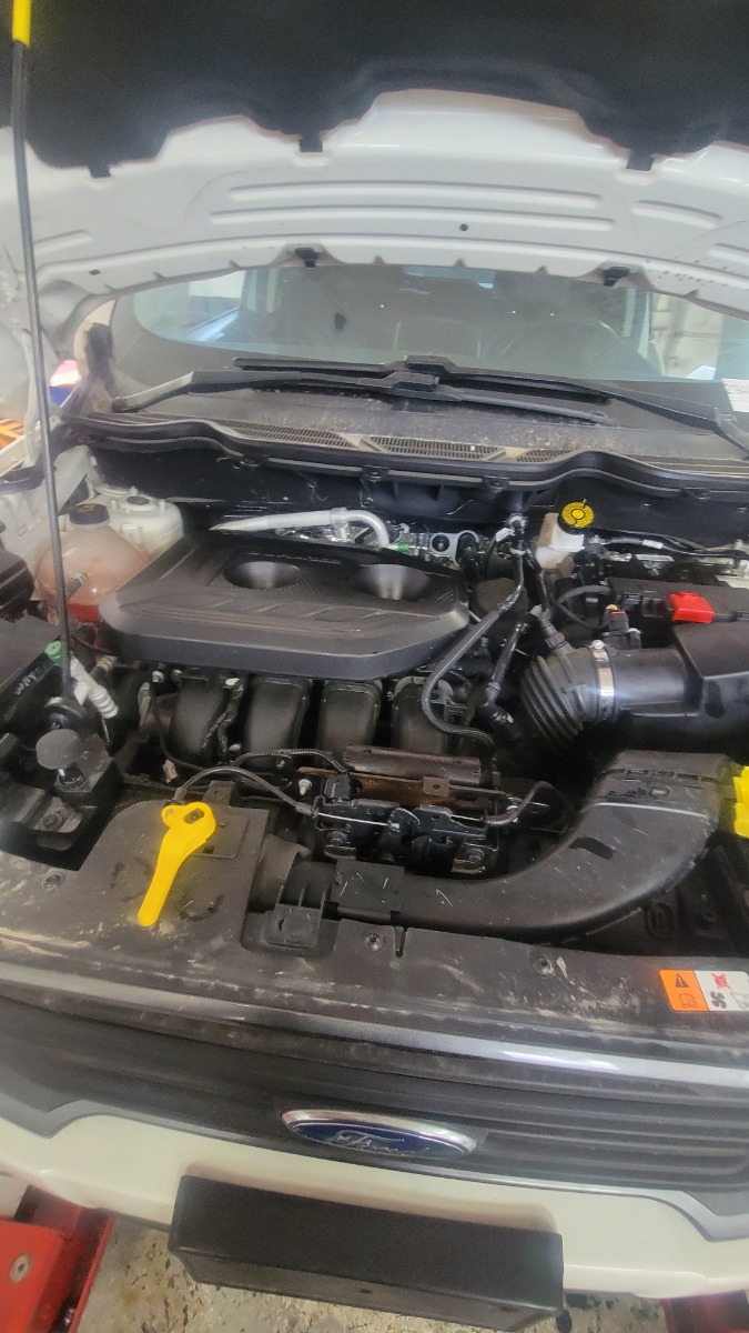 Engine Bay