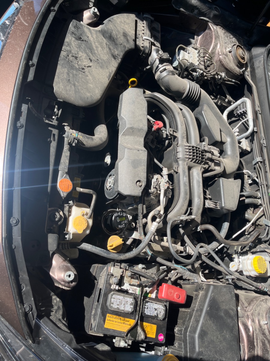 Engine Bay