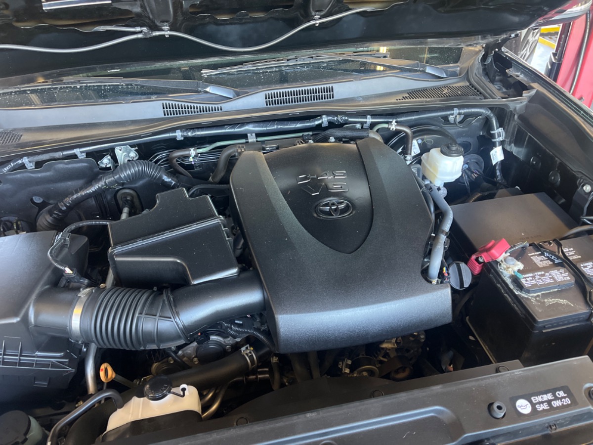 Engine Bay