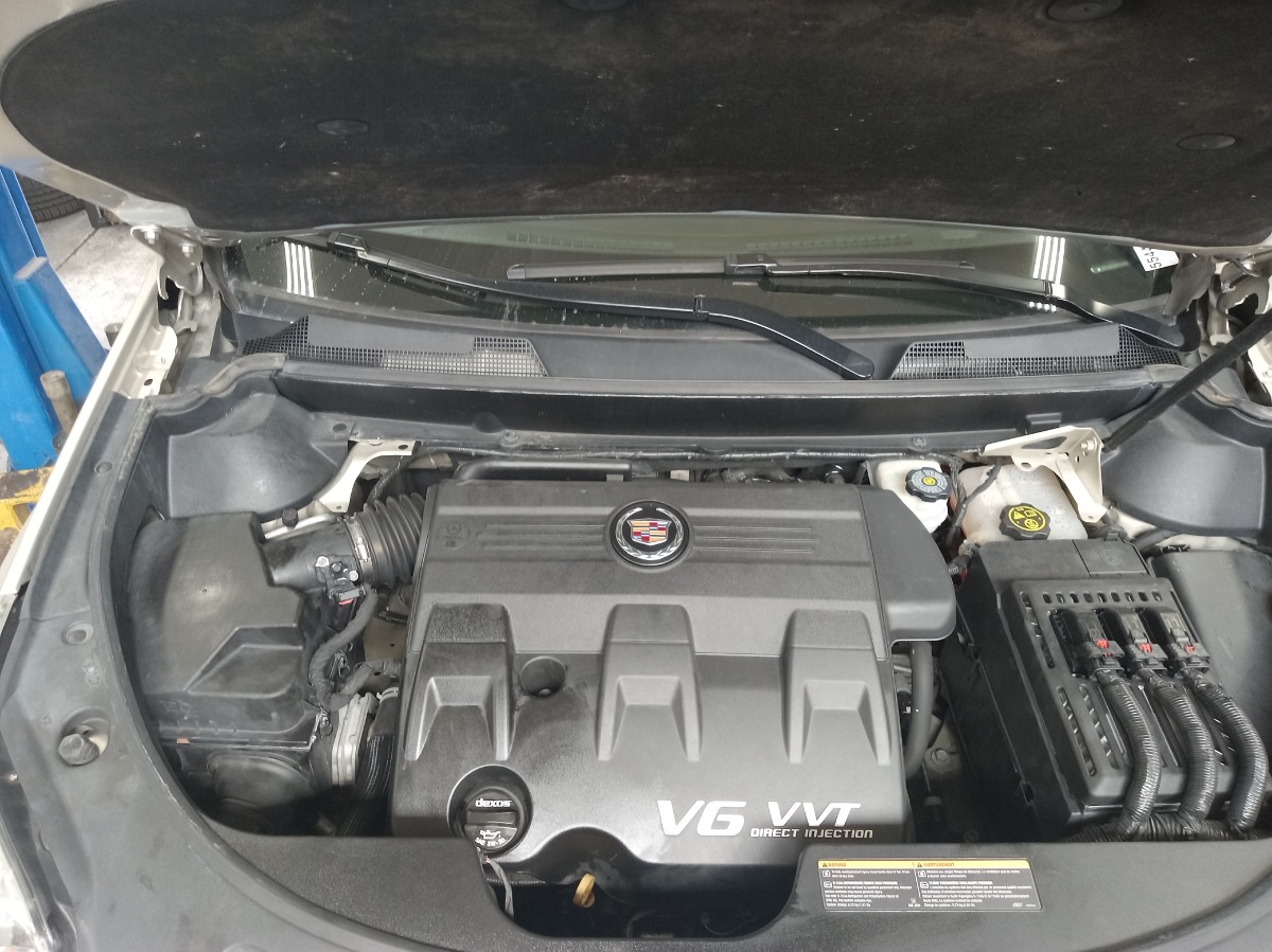 Engine Bay