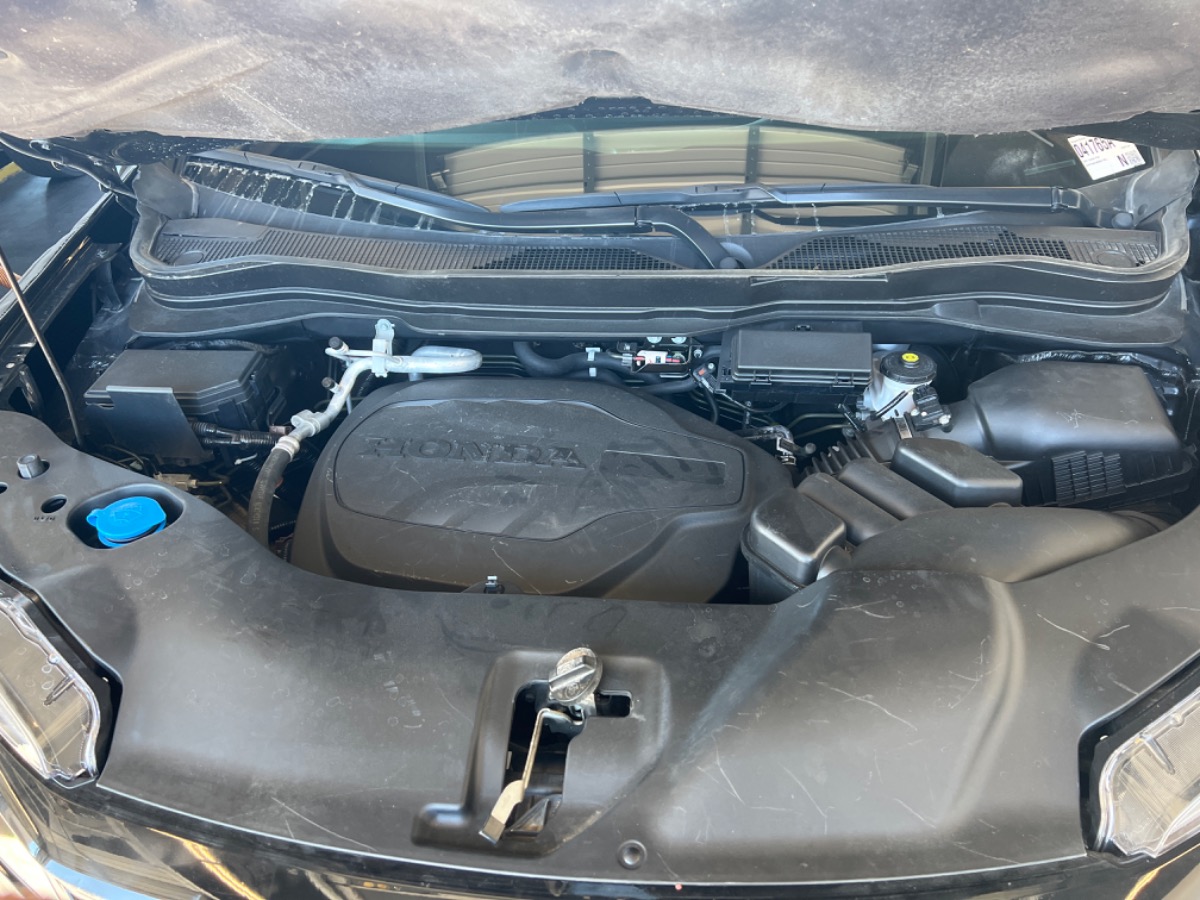 Engine Bay