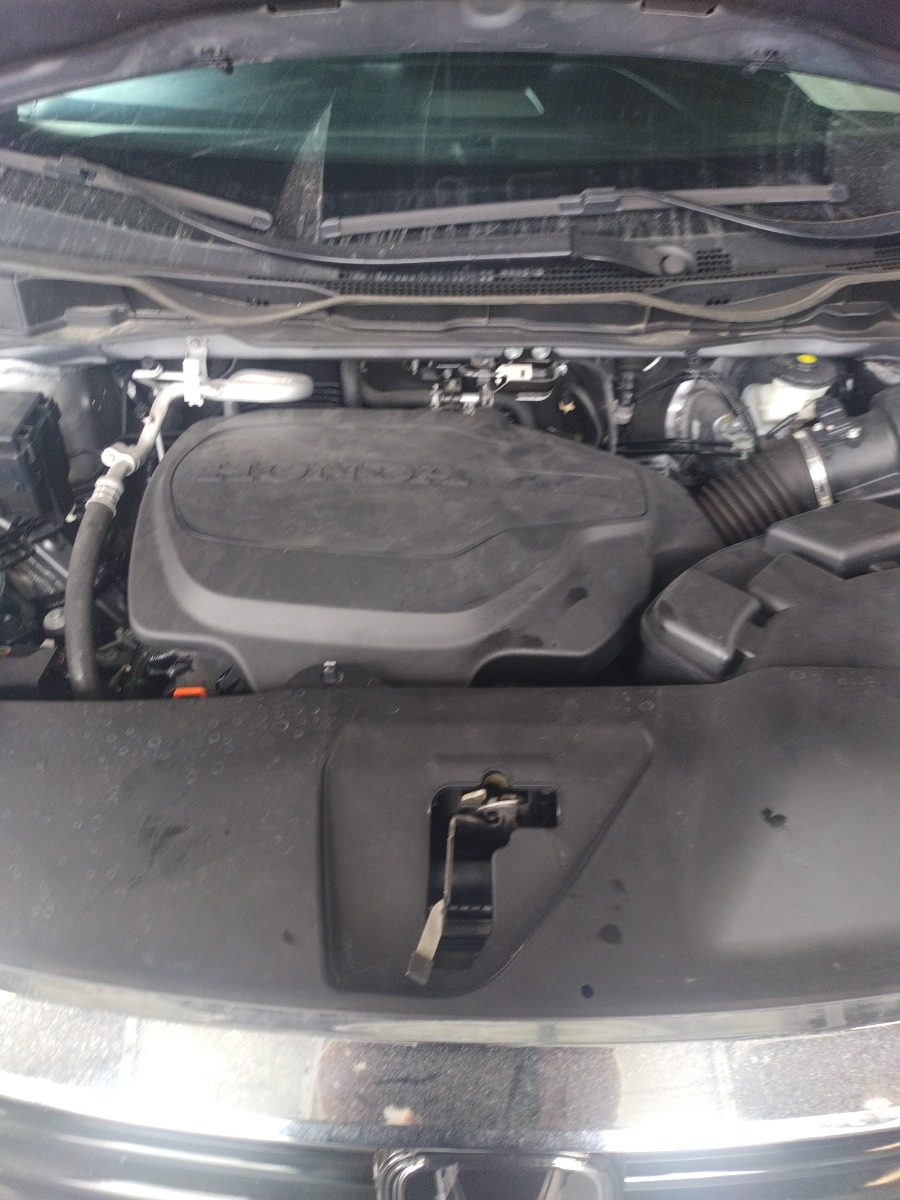 Engine Bay