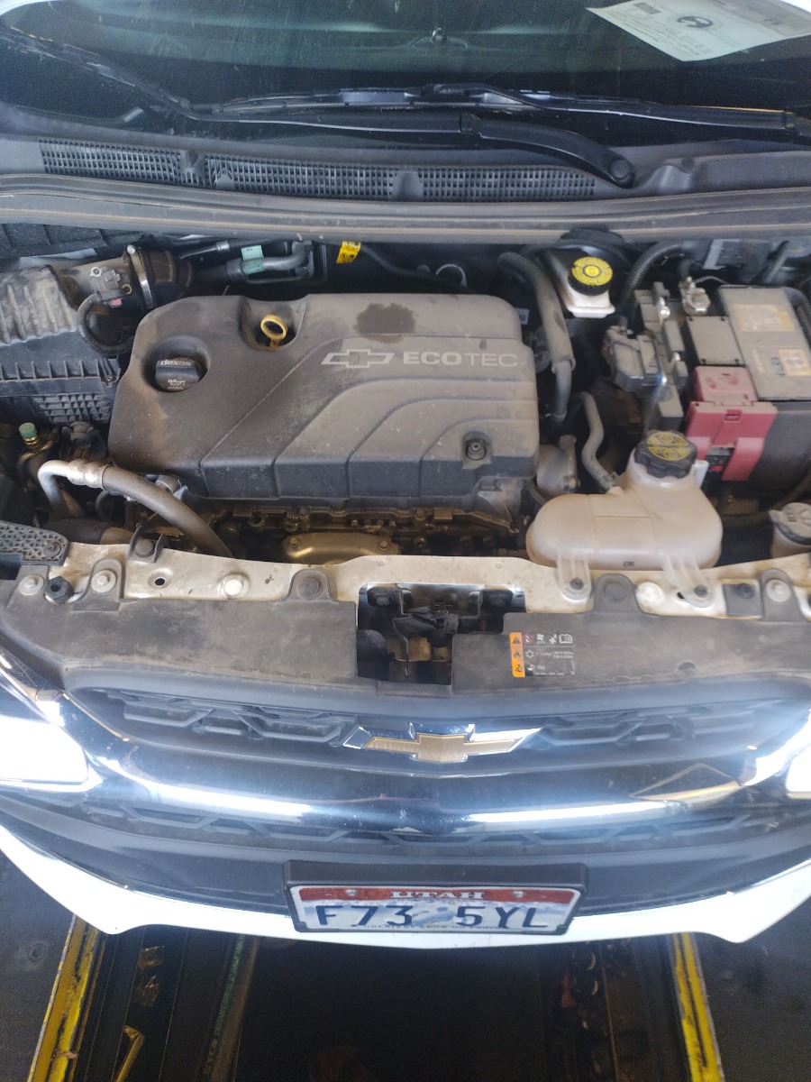 Engine Bay