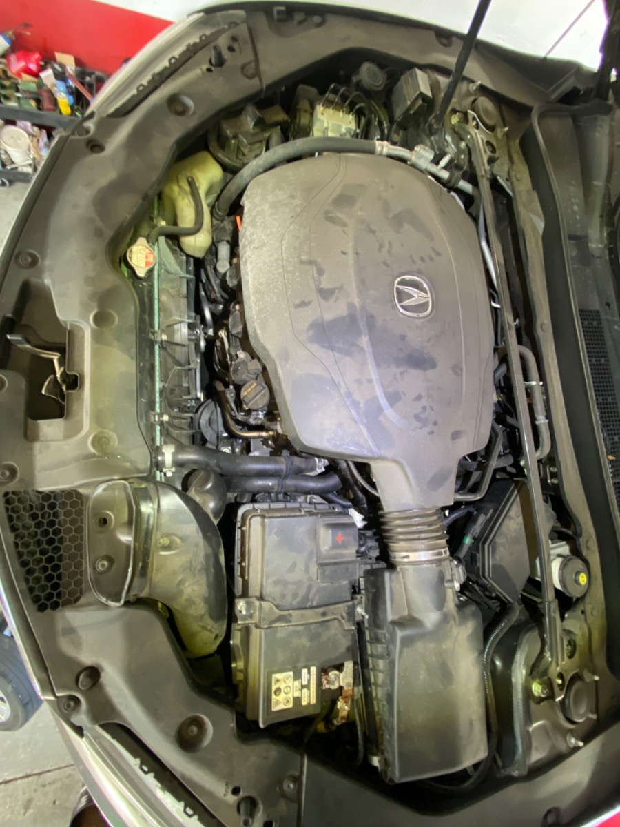 Engine Bay