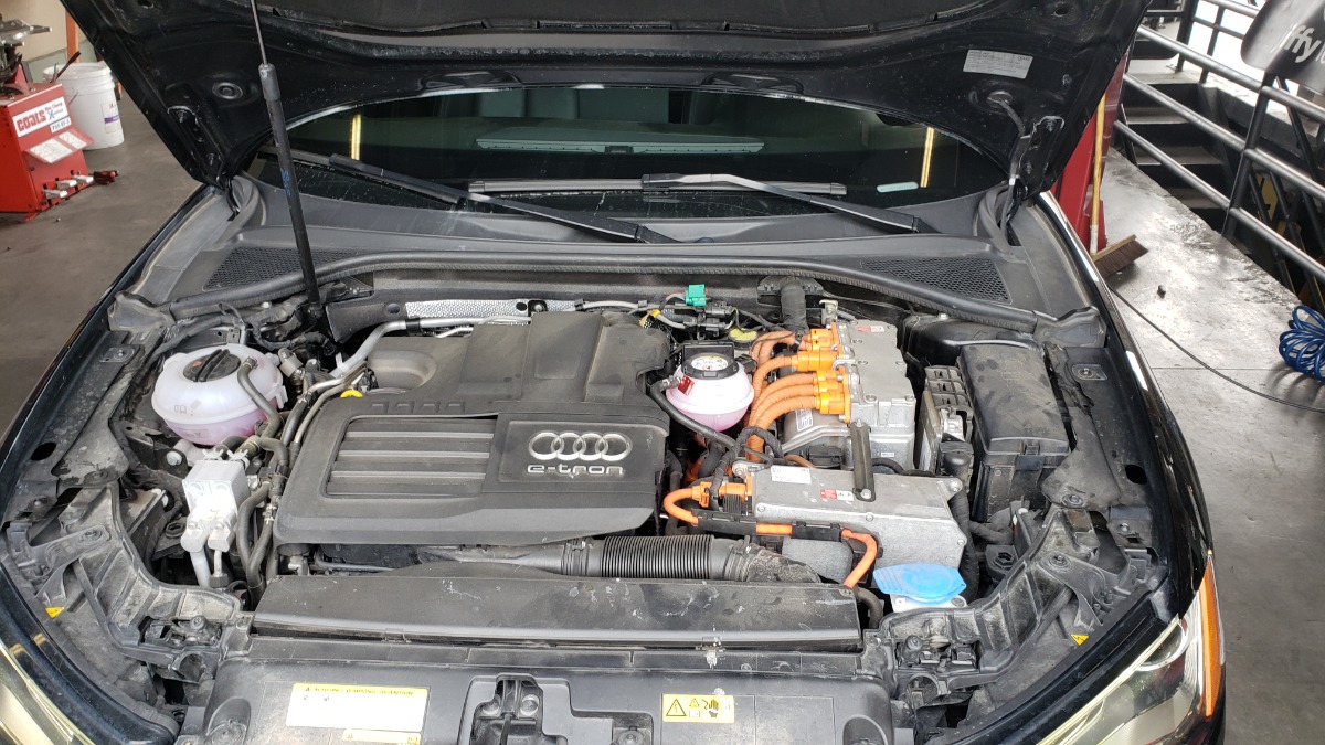 Engine Bay