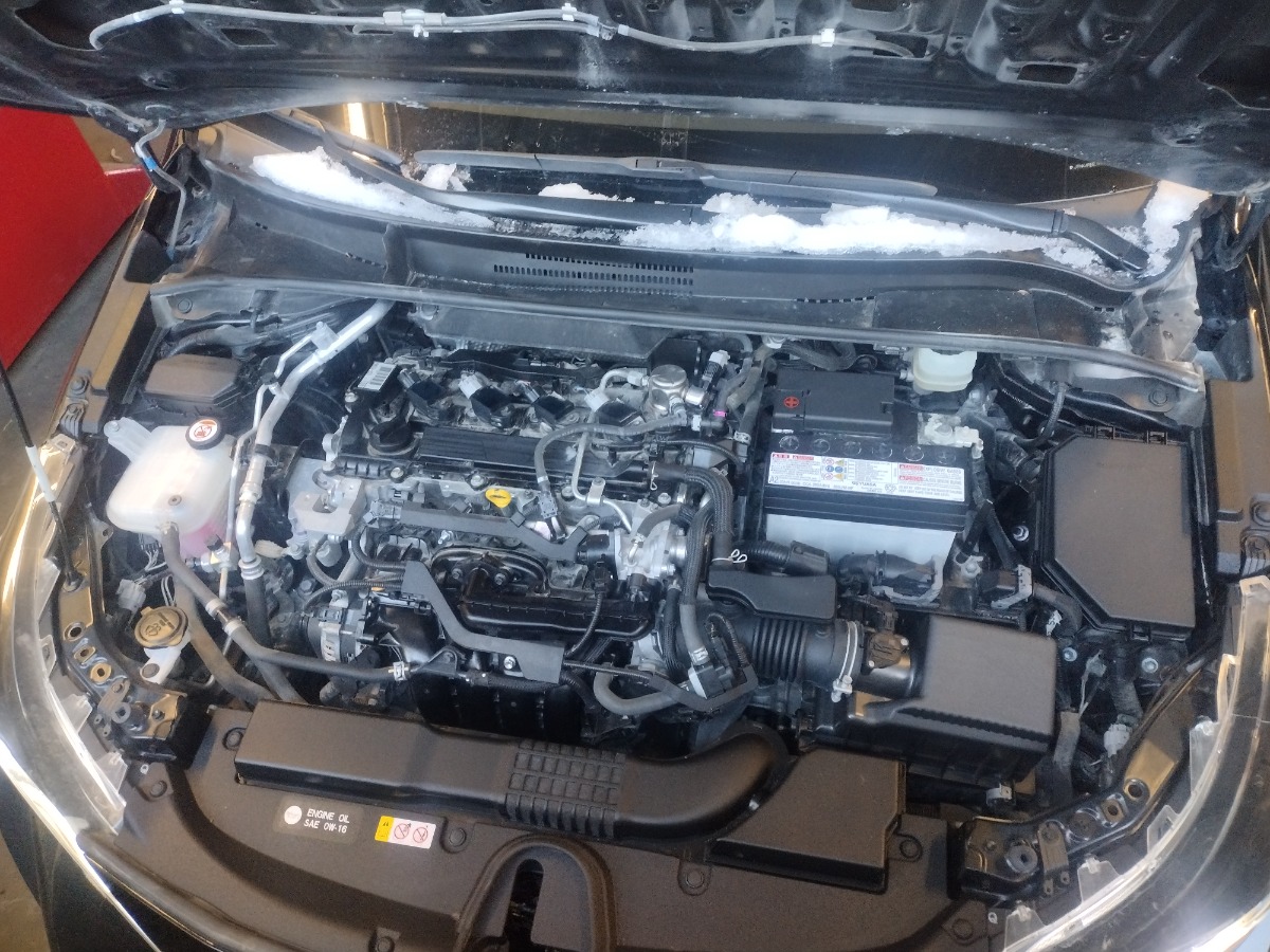 Engine Bay