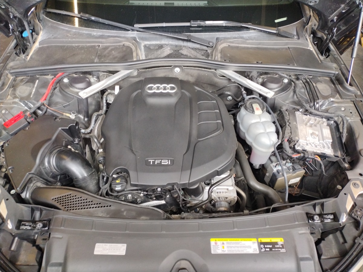Engine Bay
