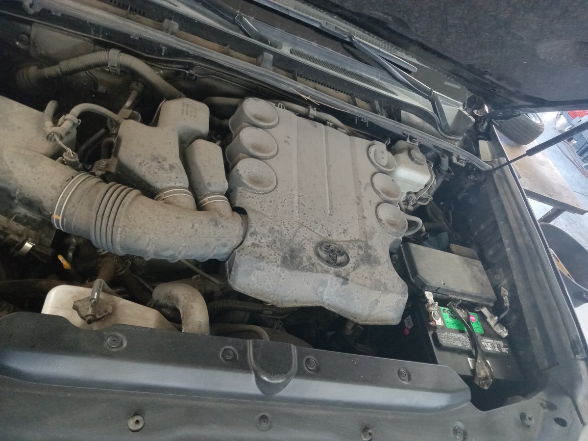 Engine Bay