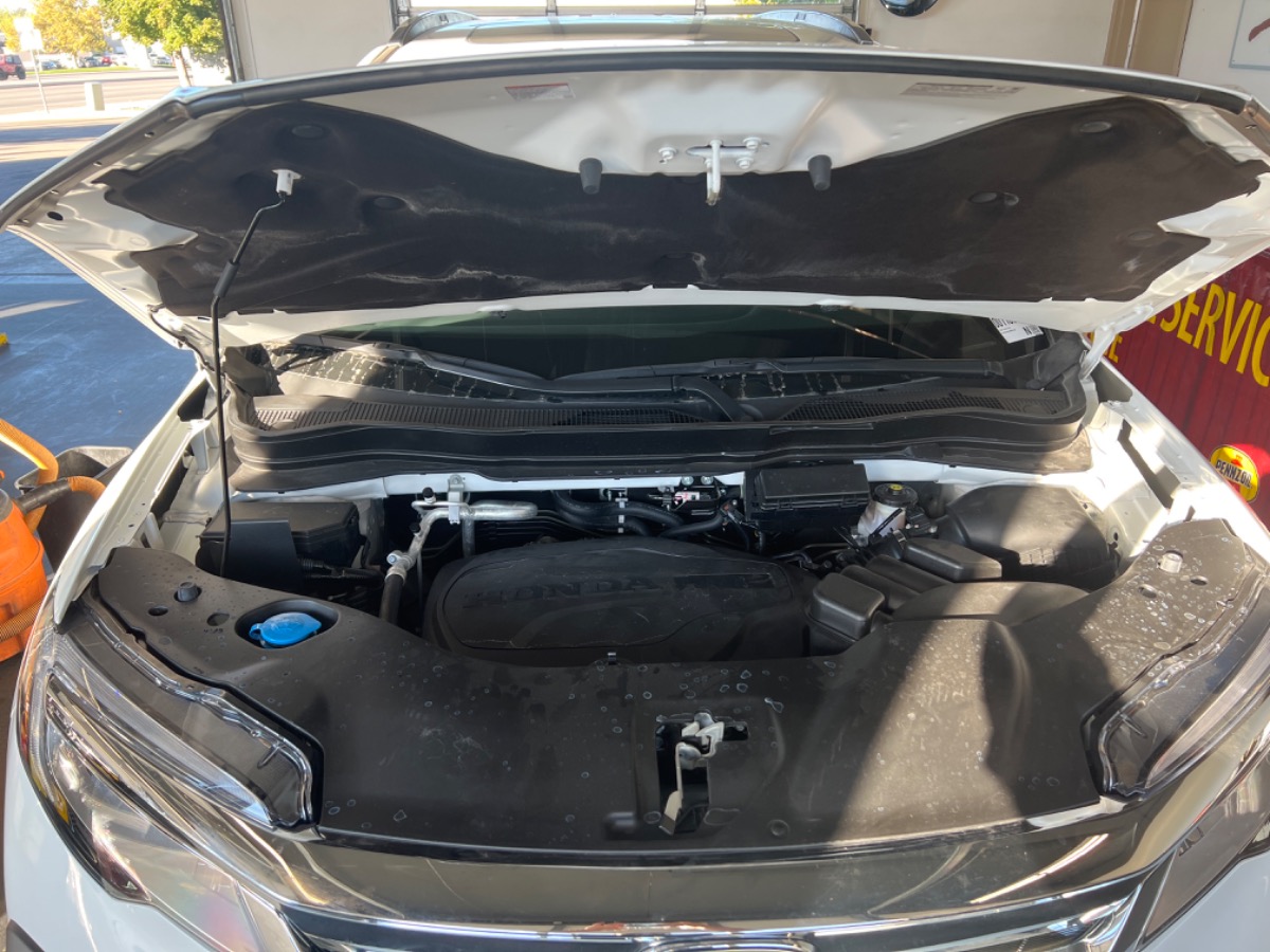 Engine Bay