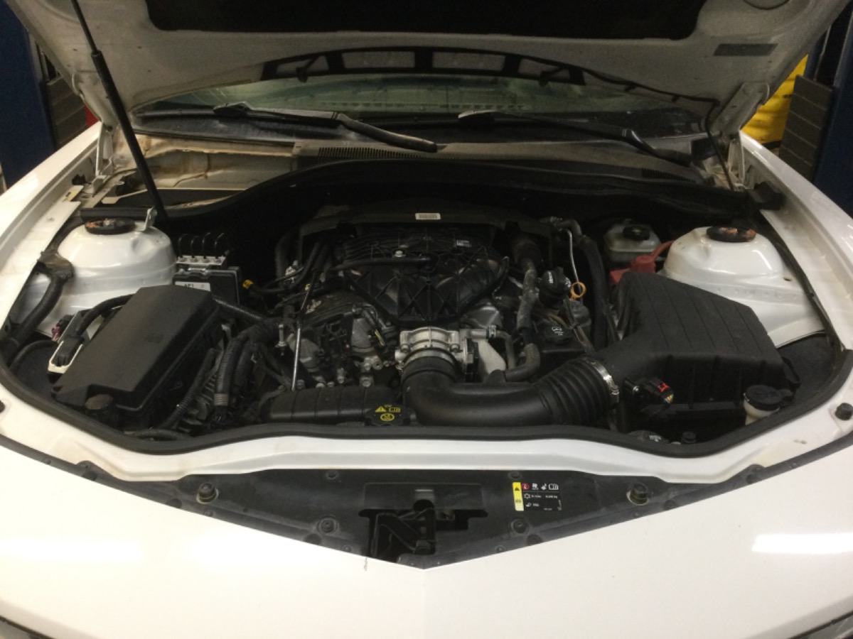 Engine Bay