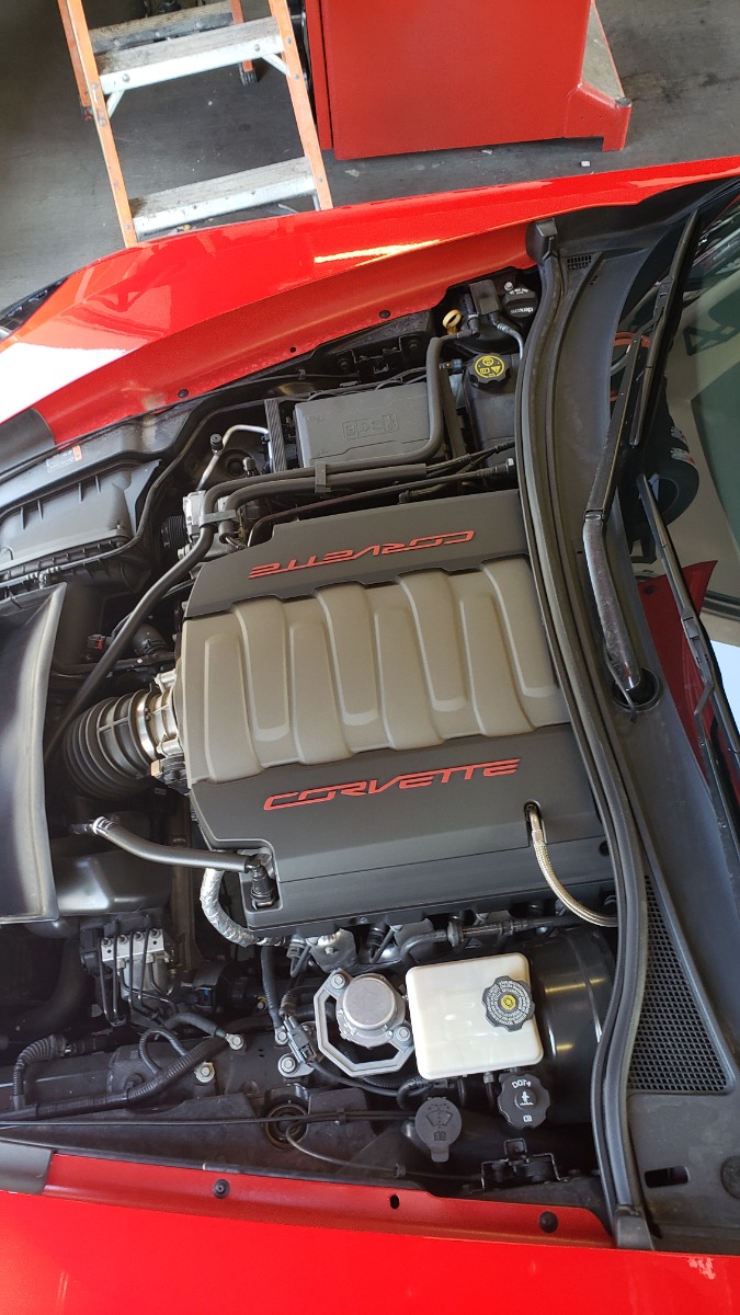 Engine Bay