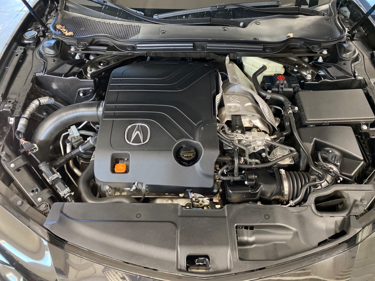 Engine Bay