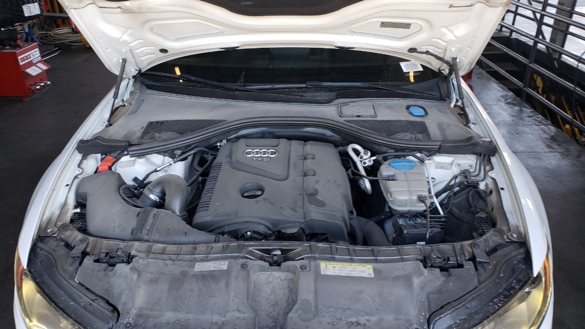Engine Bay