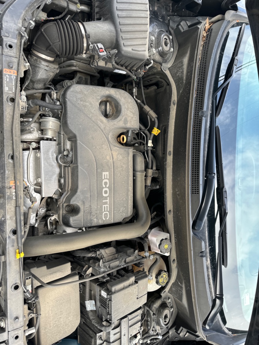 Engine Bay