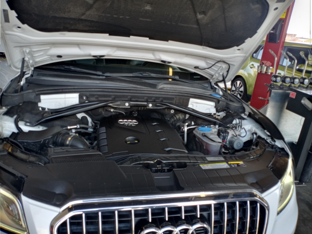 Engine Bay