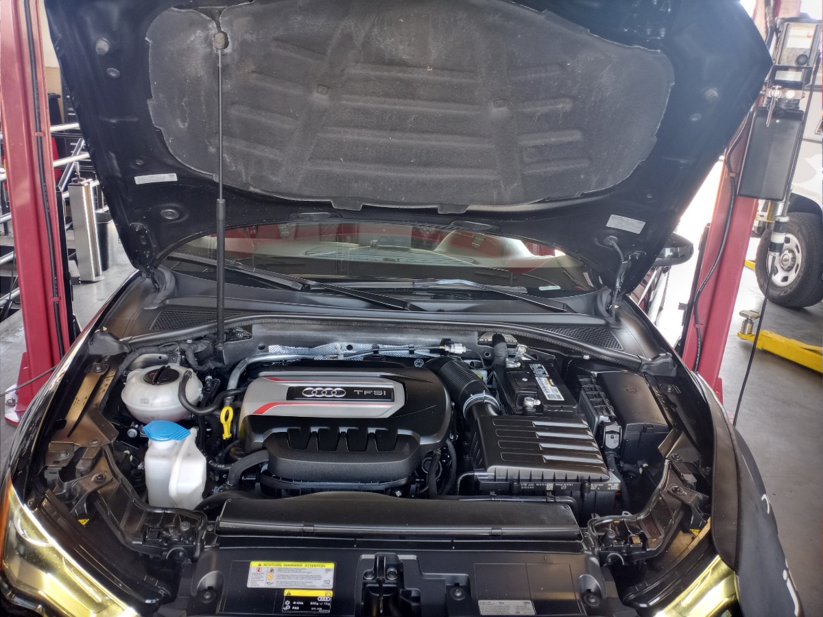Engine Bay