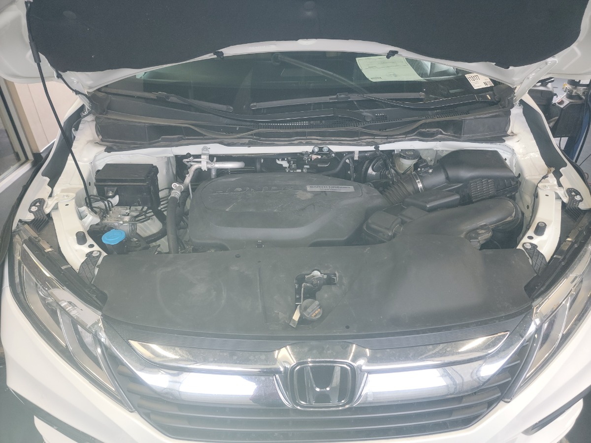 Engine Bay