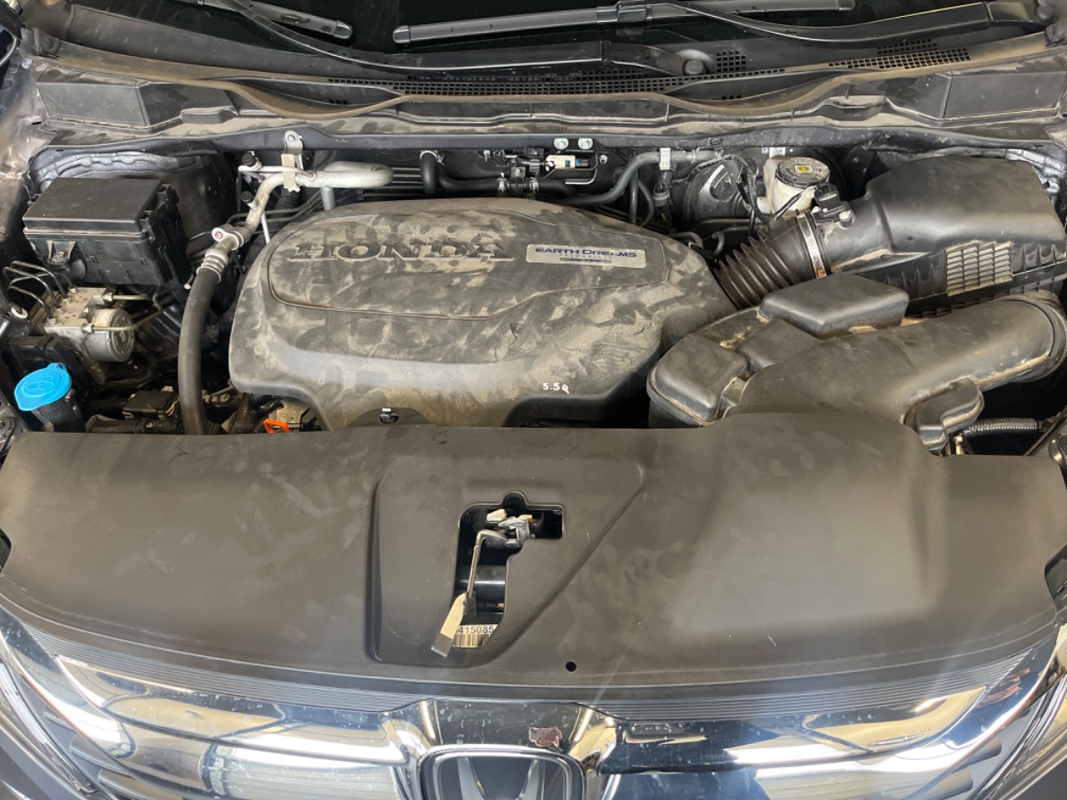 Engine Bay
