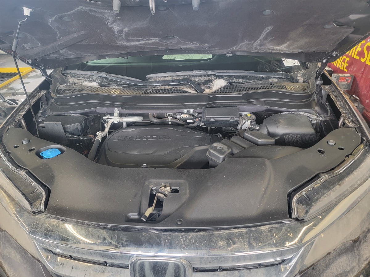 Engine Bay