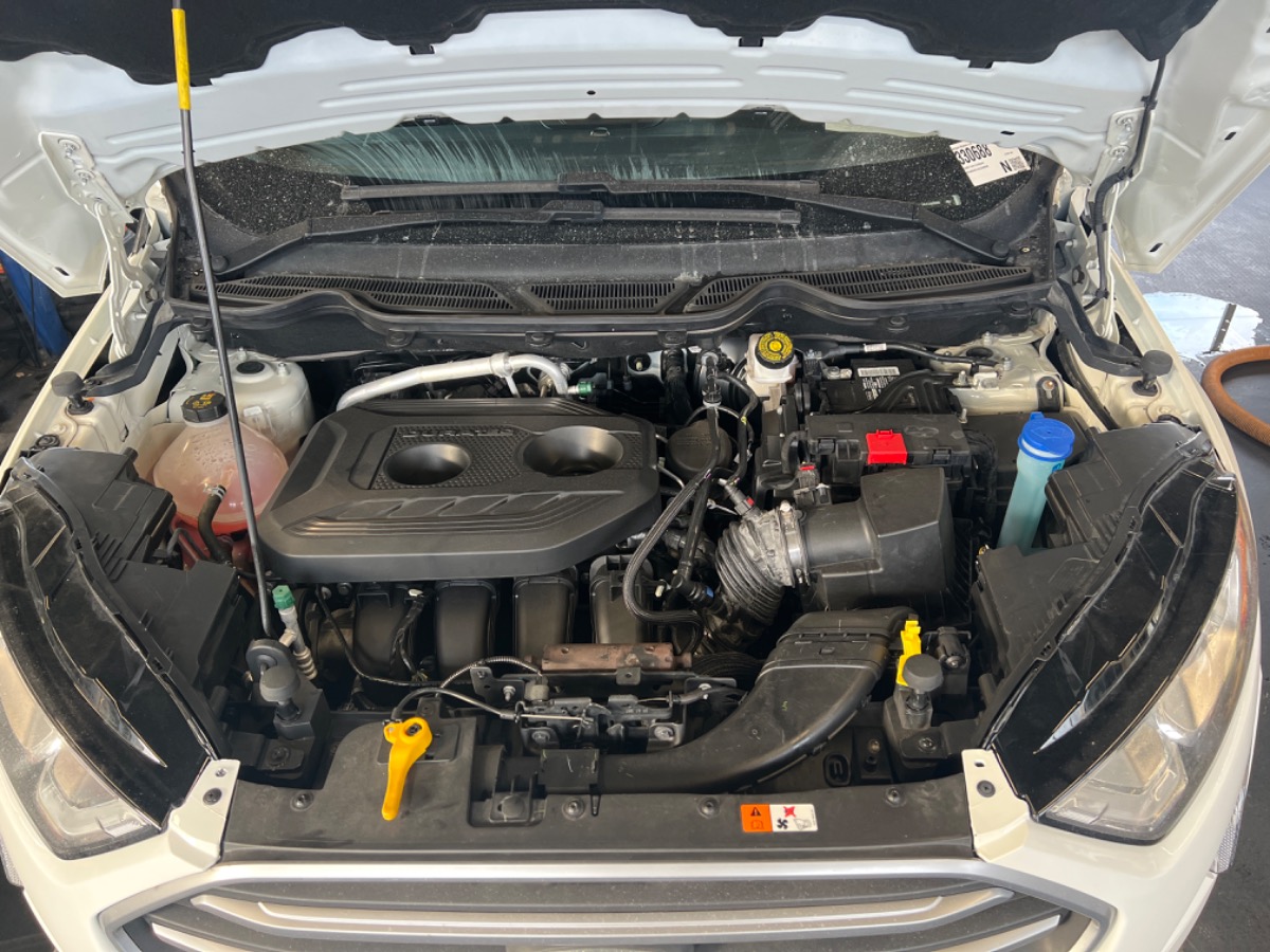 Engine Bay