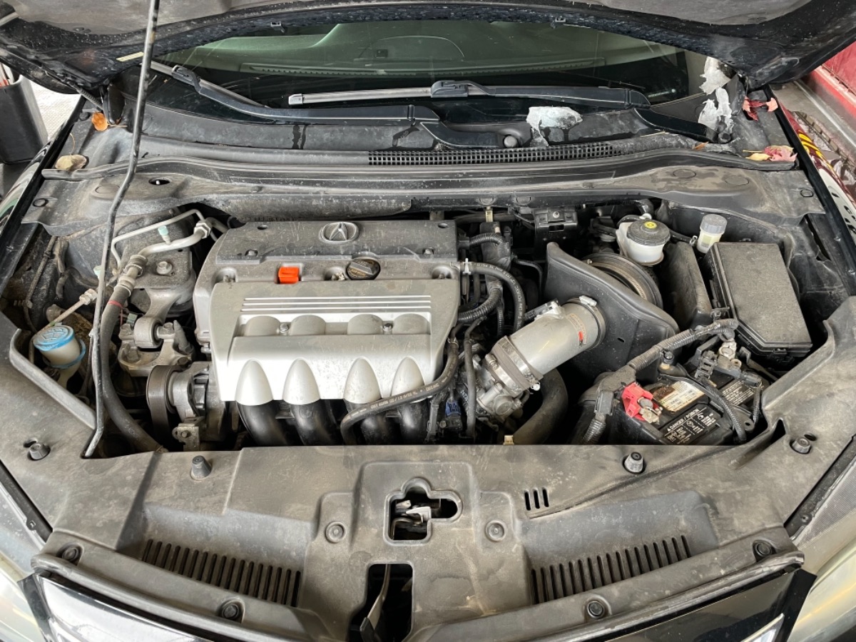 Engine Bay