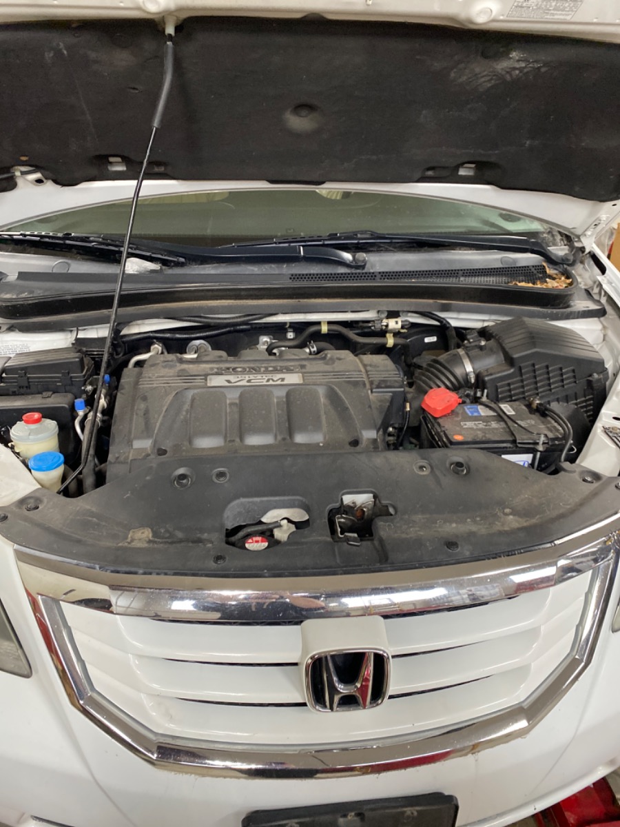 Engine Bay
