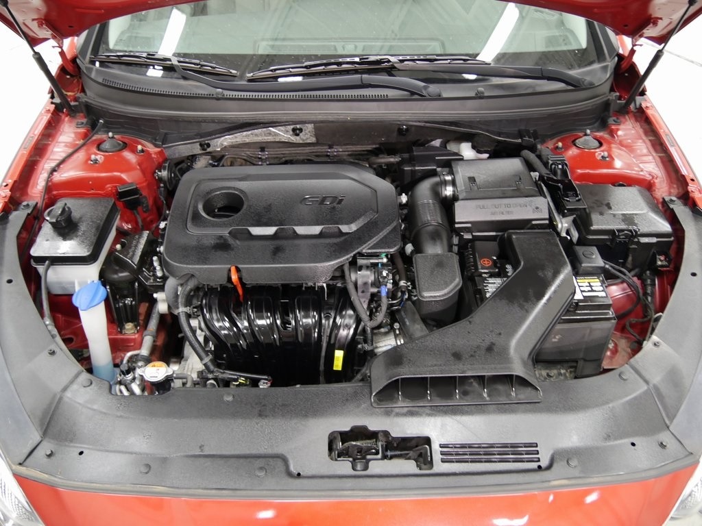 Engine Bay