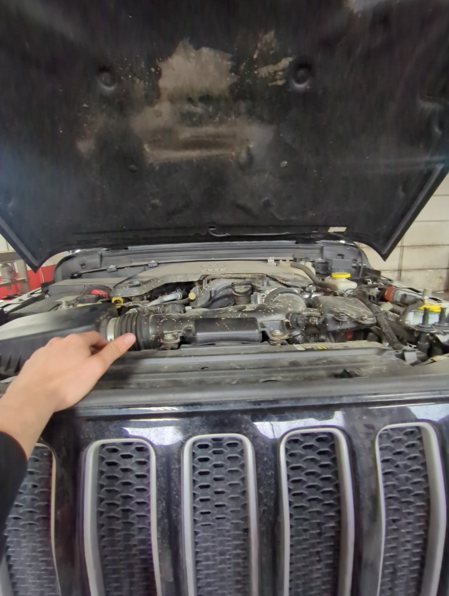 Engine Bay