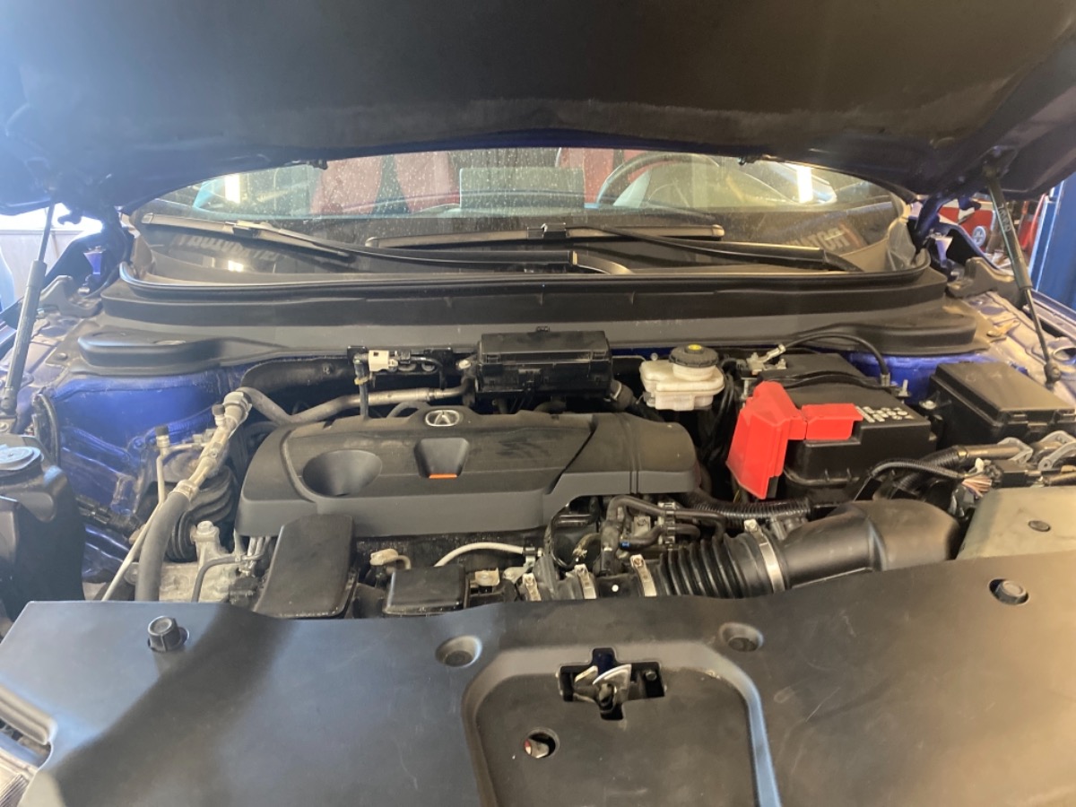 Engine Bay