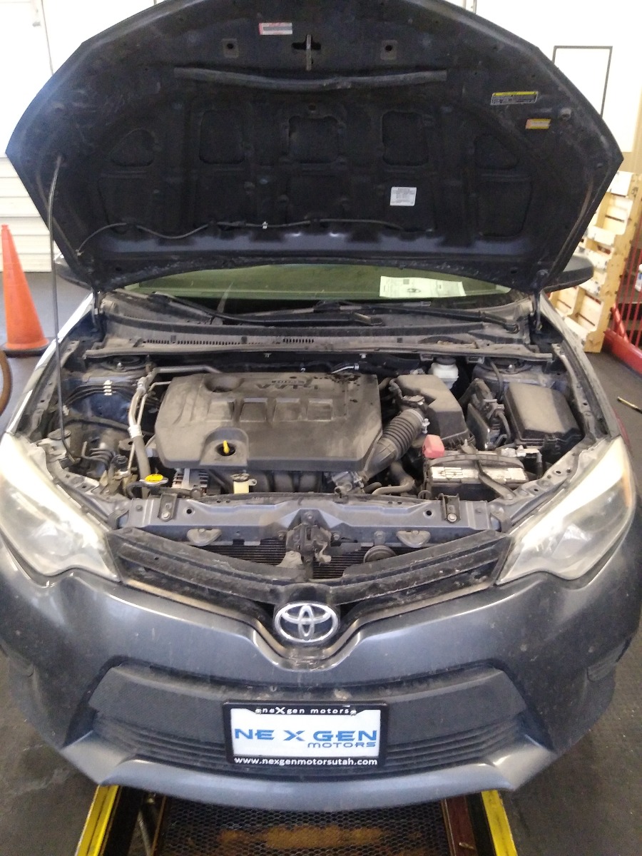 Engine Bay