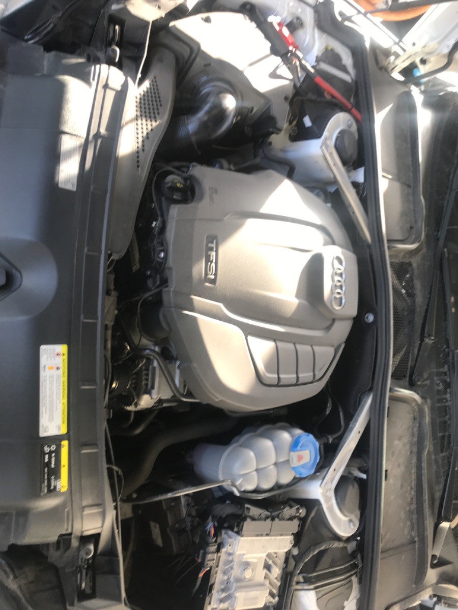 Engine Bay