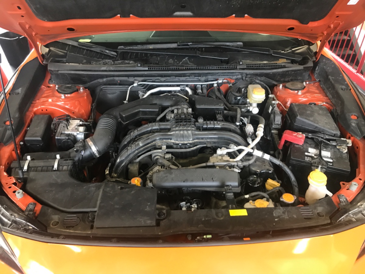 Engine Bay