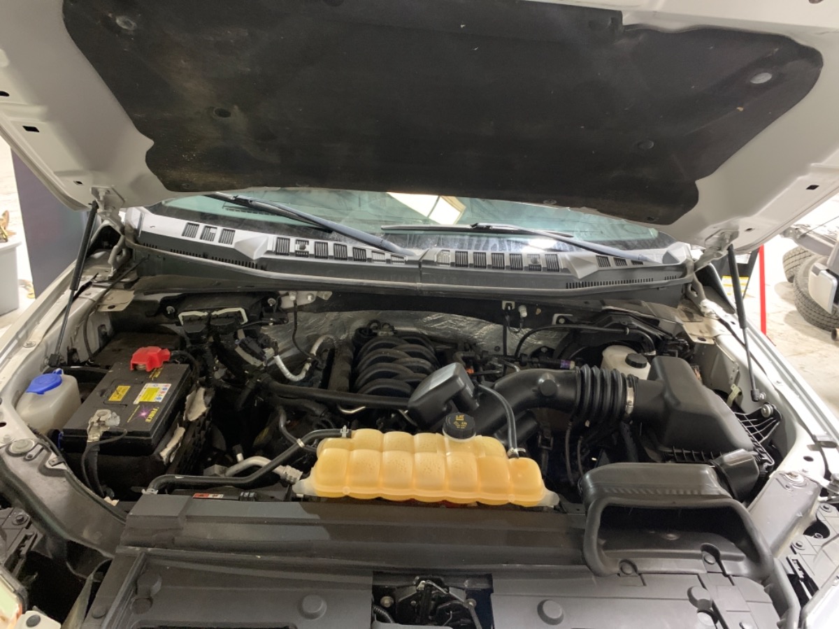 Engine Bay