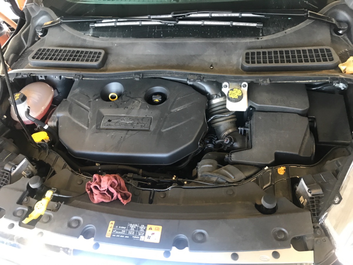 Engine Bay