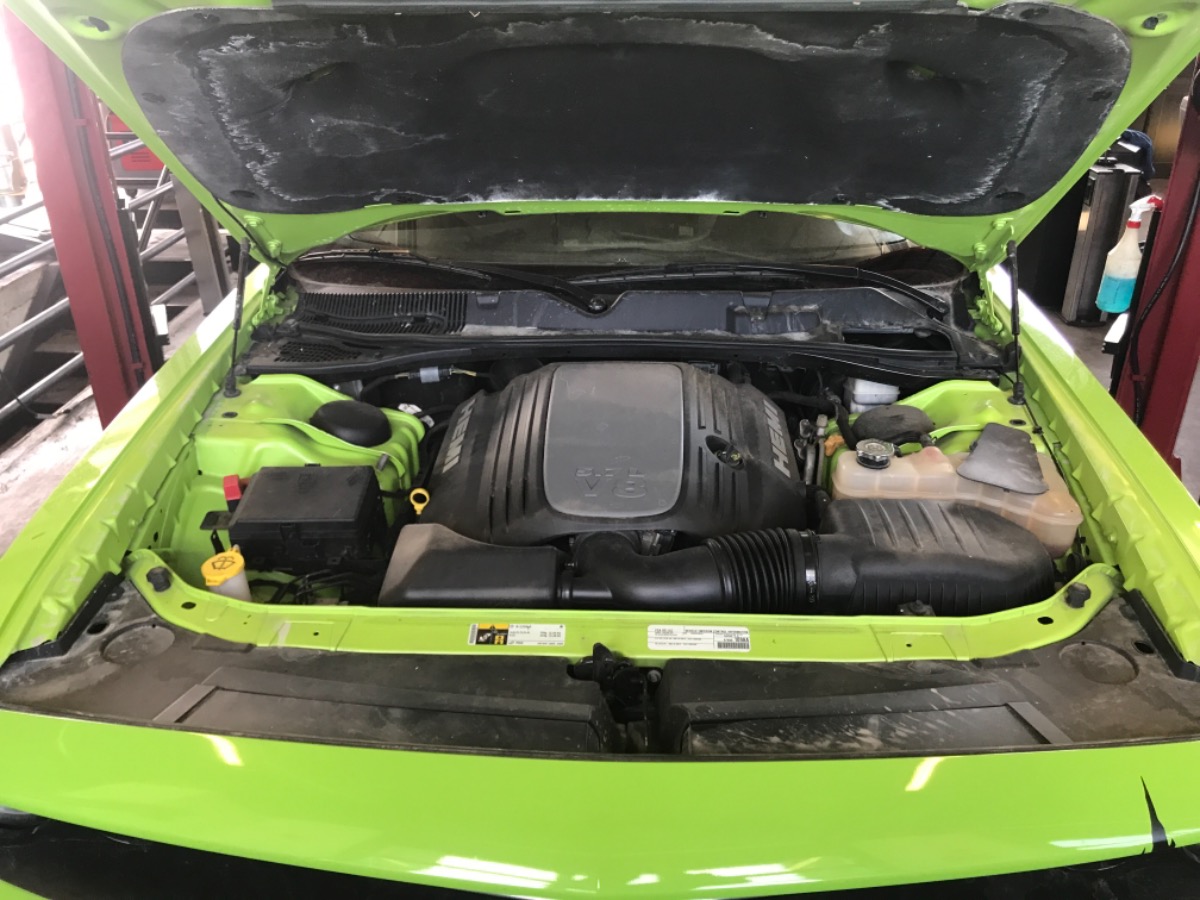 Engine Bay