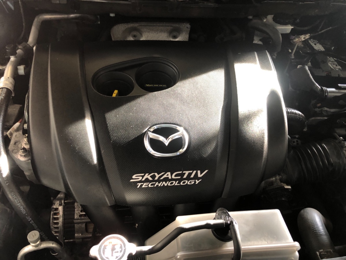Engine Bay