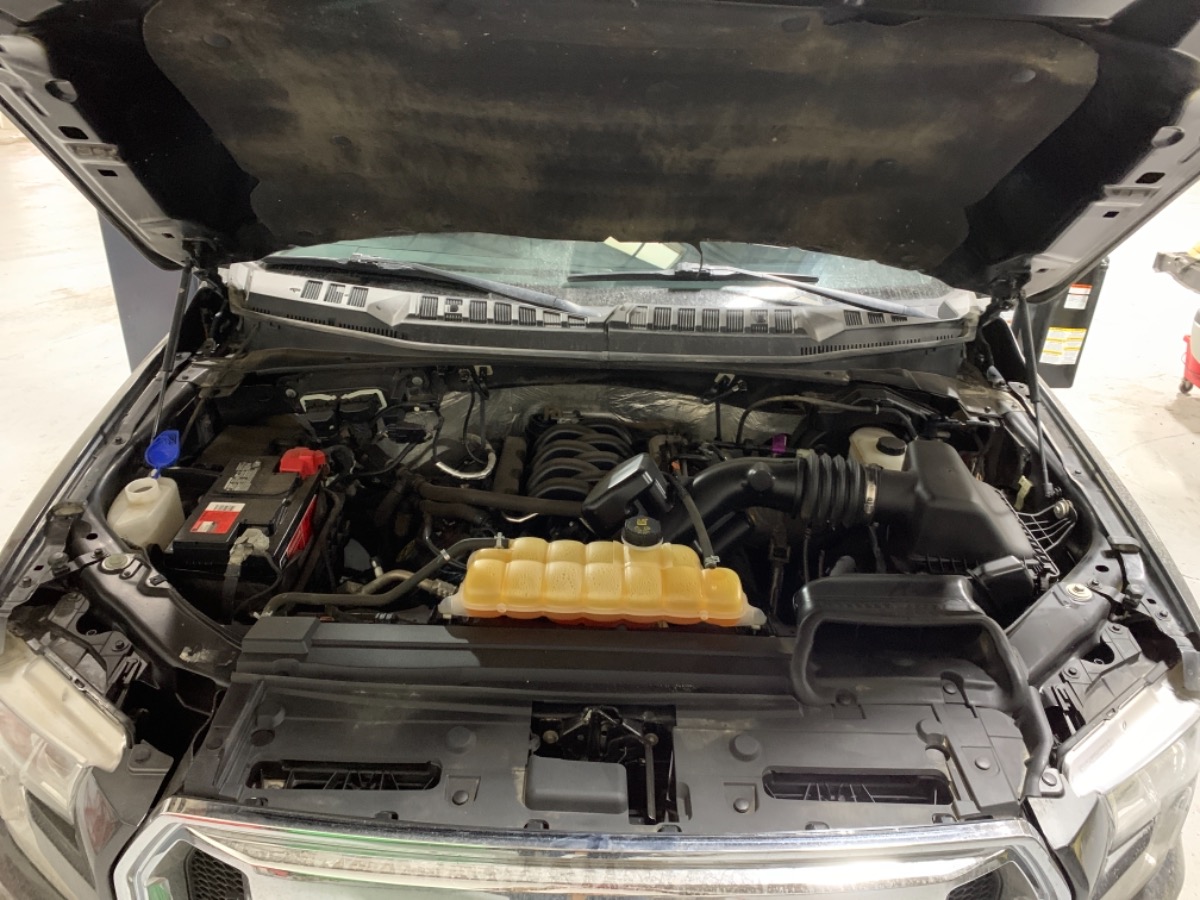 Engine Bay