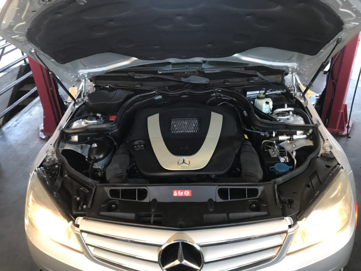 Engine Bay
