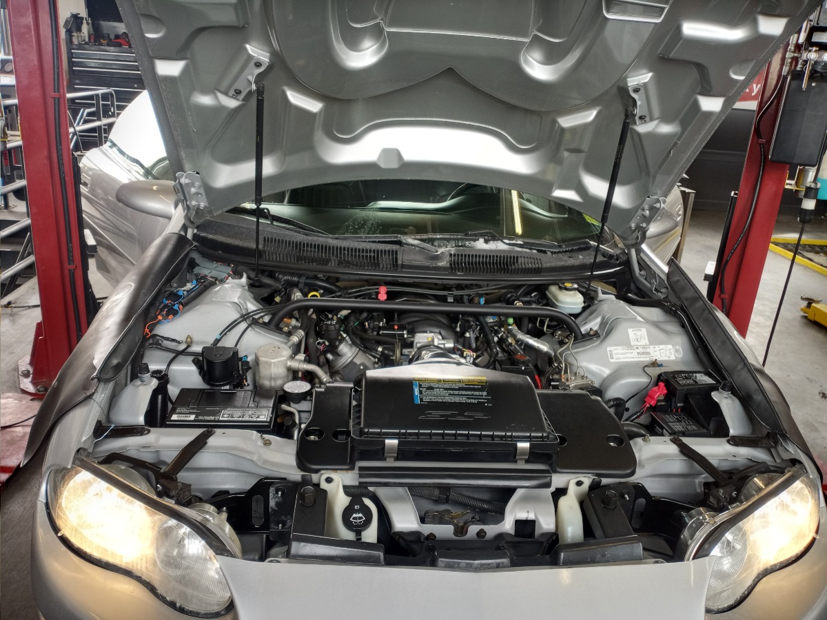 Engine Bay