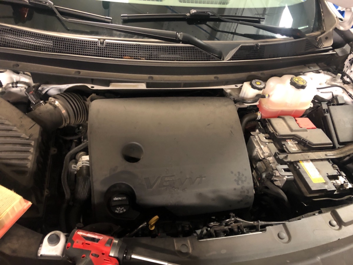 Engine Bay