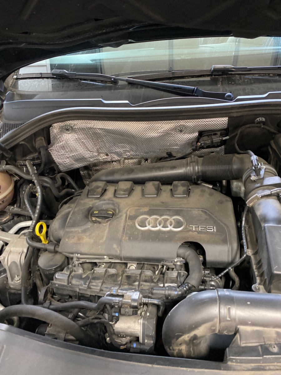 Engine Bay