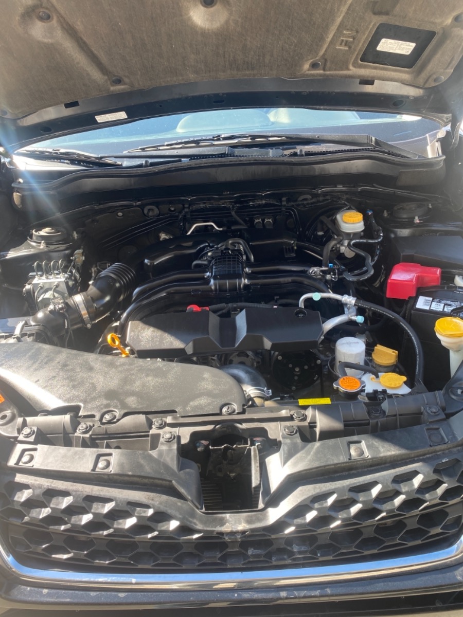 Engine Bay