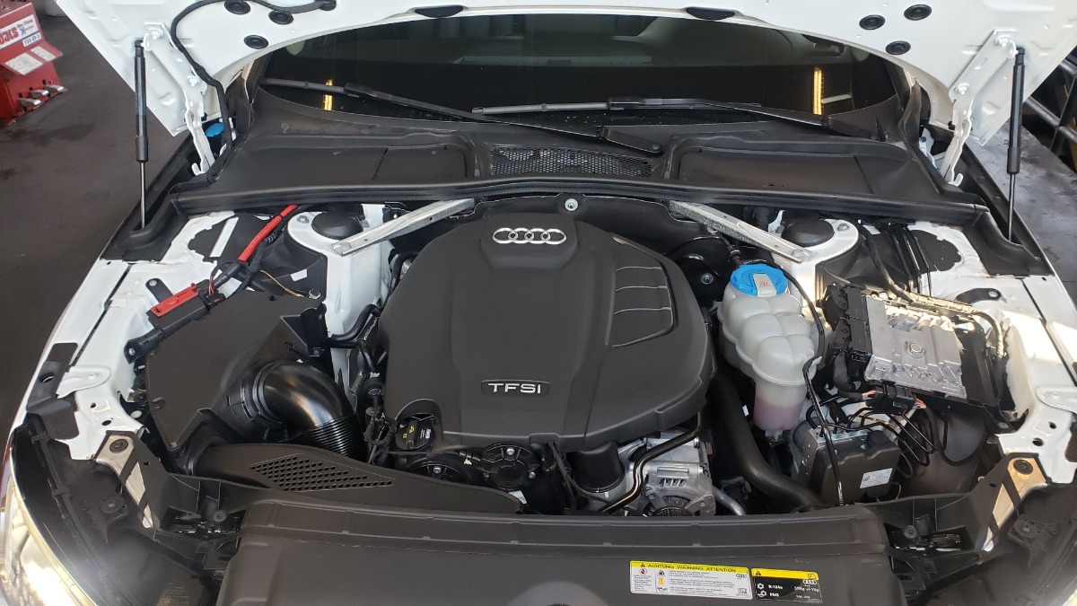 Engine Bay