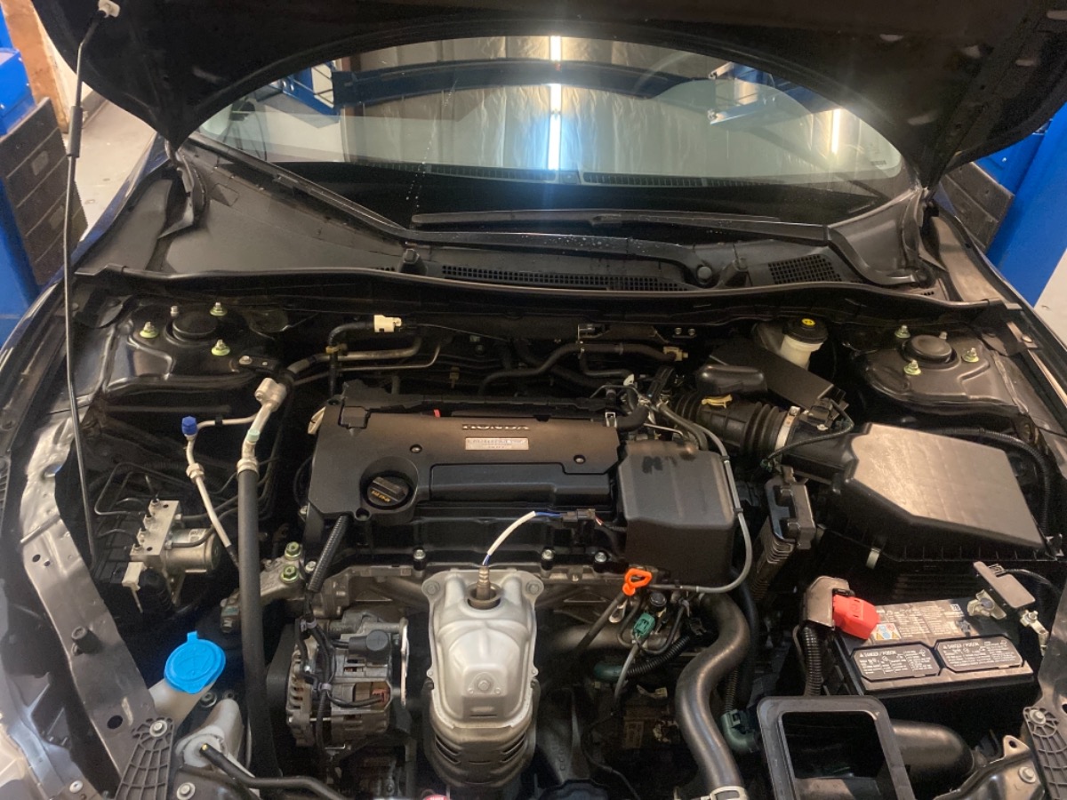 Engine Bay