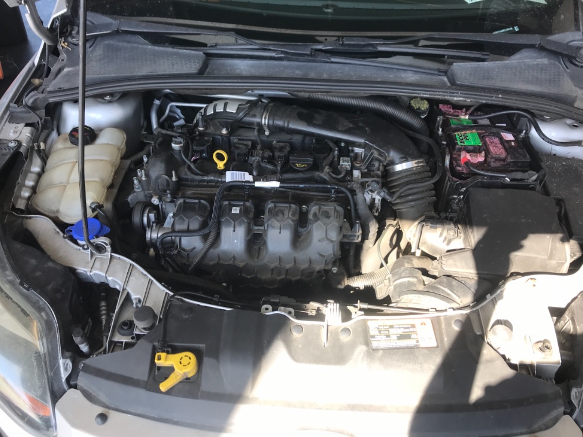 Engine Bay