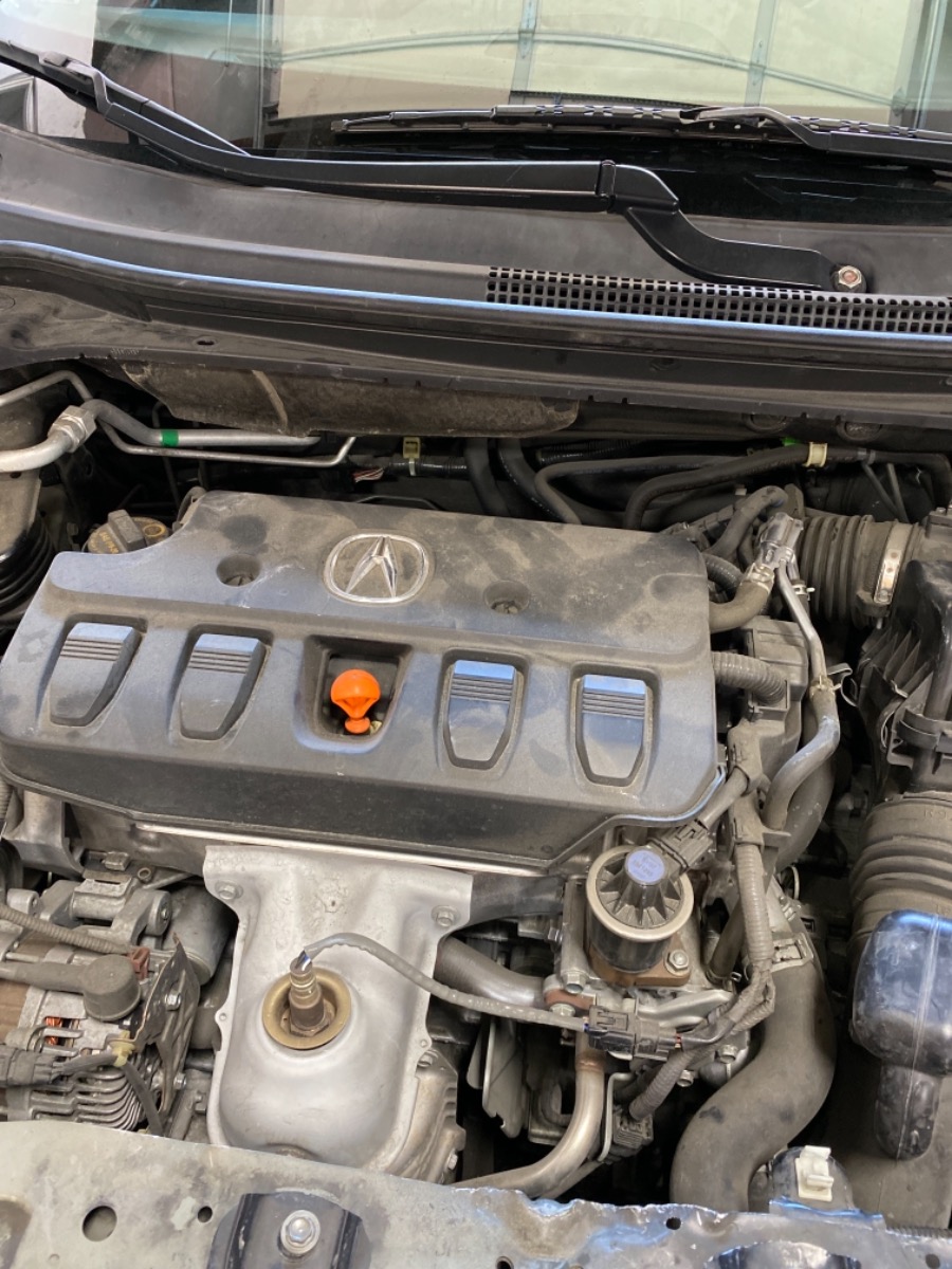 Engine Bay