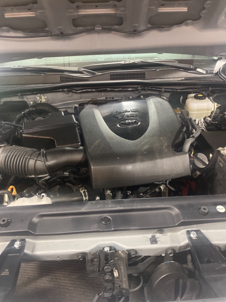 Engine Bay